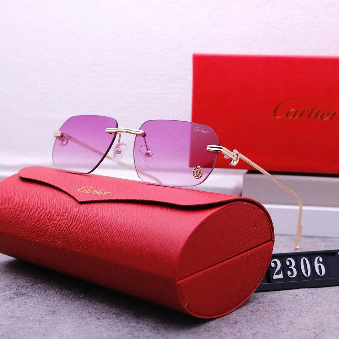 Cartier Tinted Lens Geometric Sunglasses, Polished Frame Style 02