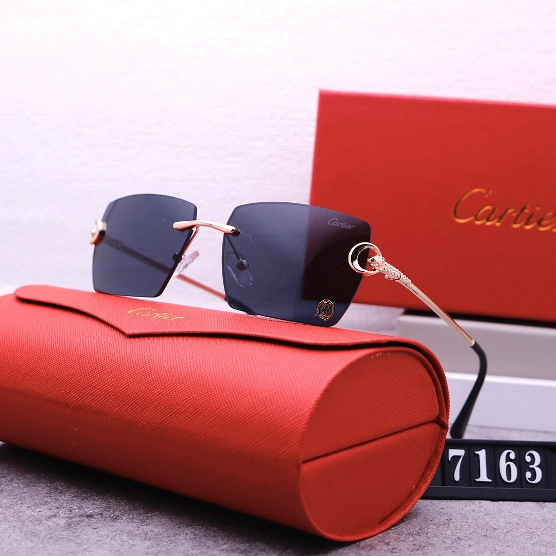 Cartier Tinted Lens Geometric Sunglasses, Polished Frame Style 01