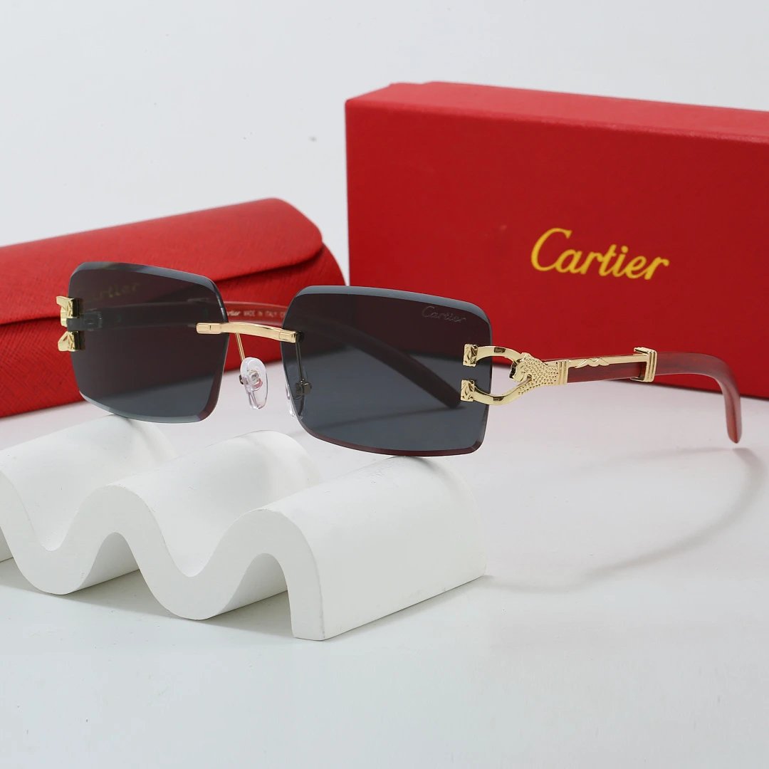 Cartier Tinted Lens Geometric Sunglasses, Polished Frame Style 15