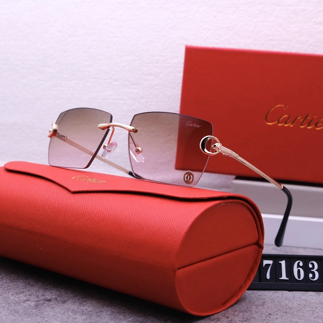 Cartier Tinted Lens Geometric Sunglasses, Polished Frame Style 06
