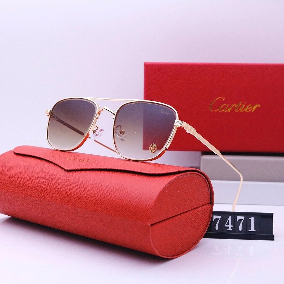 Cartier Tinted Lens Geometric Sunglasses, Polished Frame Style 01