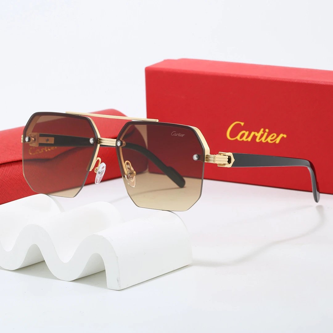 Cartier Tinted Lens Geometric Sunglasses, Polished Frame Style 03