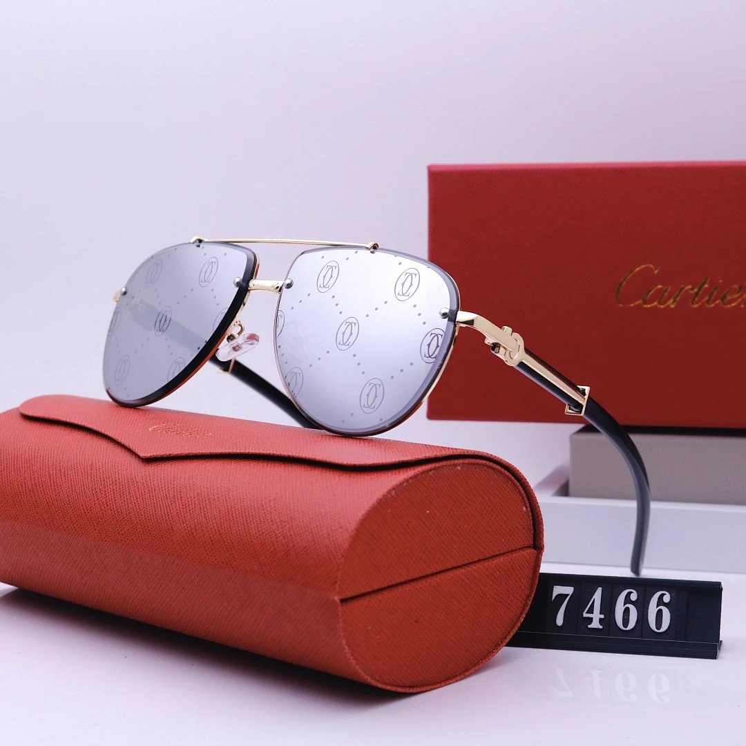 Cartier Tinted Lens Geometric Sunglasses, Polished Frame Style 05