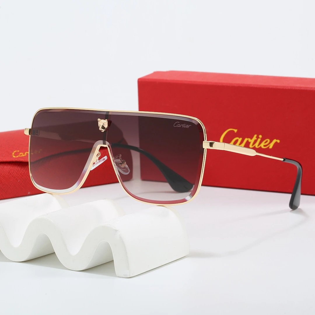 Cartier Tinted Lens Geometric Sunglasses, Polished Frame Style 01