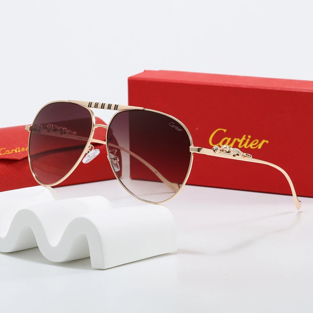 Cartier Tinted Lens Geometric Sunglasses, Polished Frame Style 02