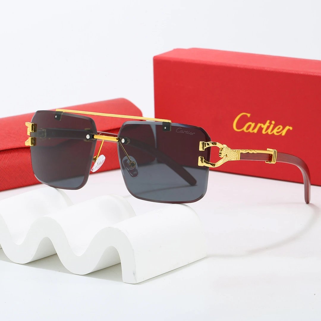 Cartier Tinted Lens Geometric Sunglasses, Polished Frame Style 03