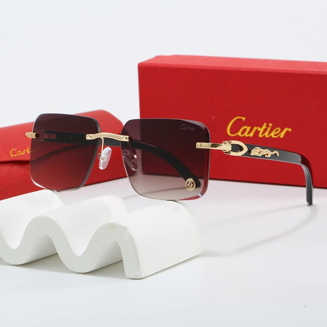 Cartier Tinted Lens Geometric Sunglasses, Polished Frame Style 01