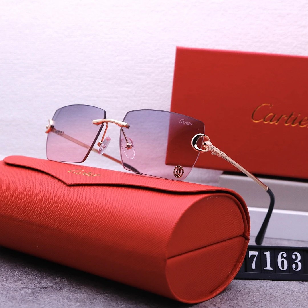 Cartier Tinted Lens Geometric Sunglasses, Polished Frame Style 08