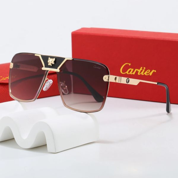 Cartier Tinted Lens Geometric Sunglasses, Polished Frame Style 01