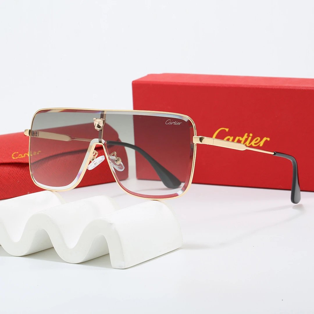 Cartier Tinted Lens Geometric Sunglasses, Polished Frame Style 03