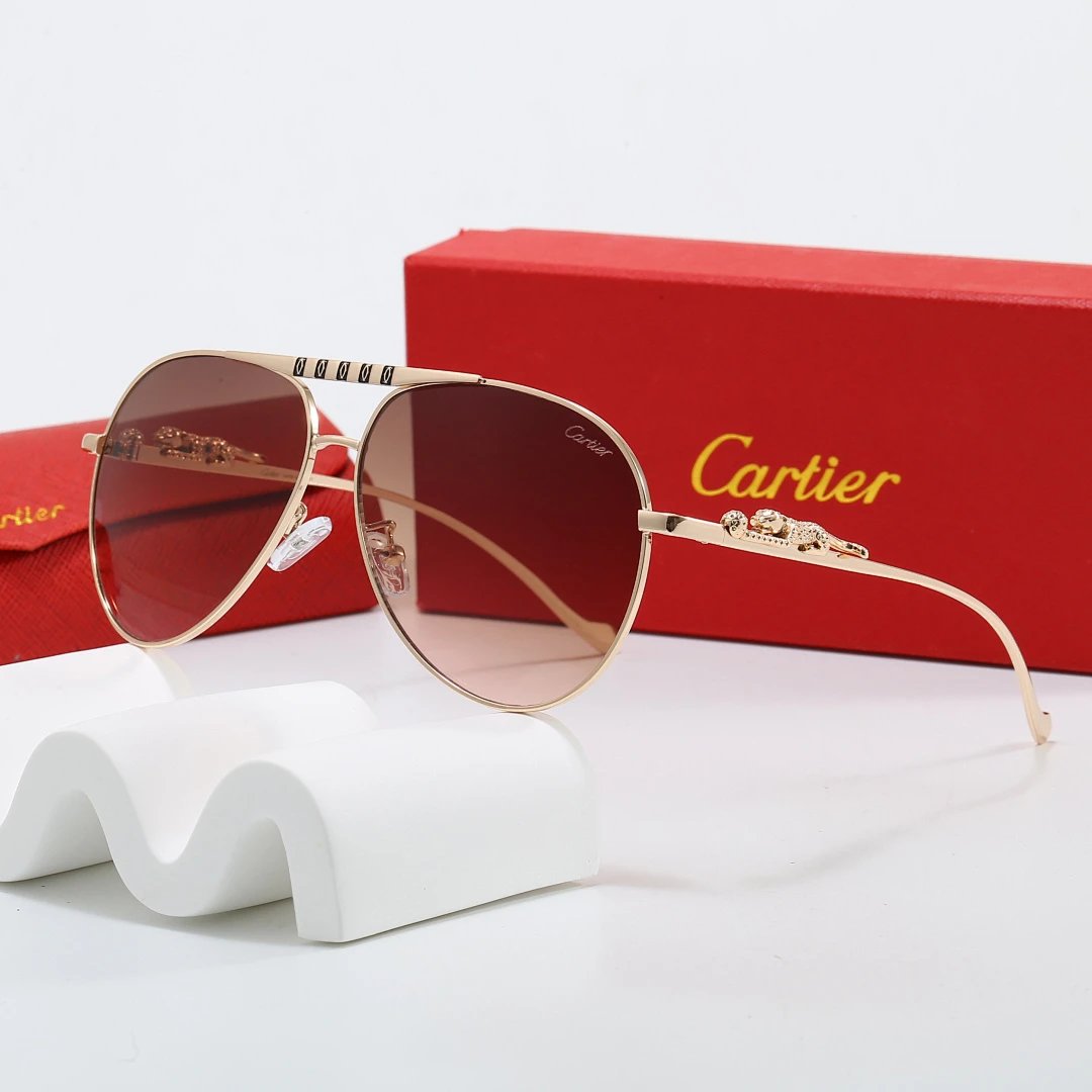 Cartier Tinted Lens Geometric Sunglasses, Polished Frame Style 06