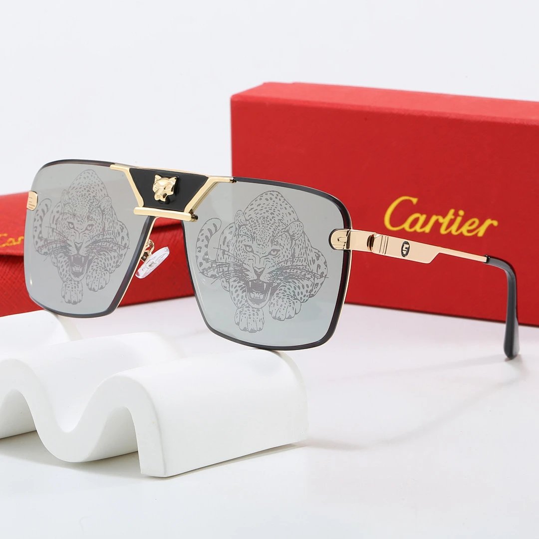 Cartier Tinted Lens Geometric Sunglasses, Polished Frame Style 07