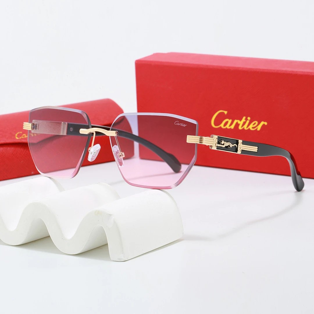 Cartier Tinted Lens Geometric Sunglasses, Polished Frame Style 01