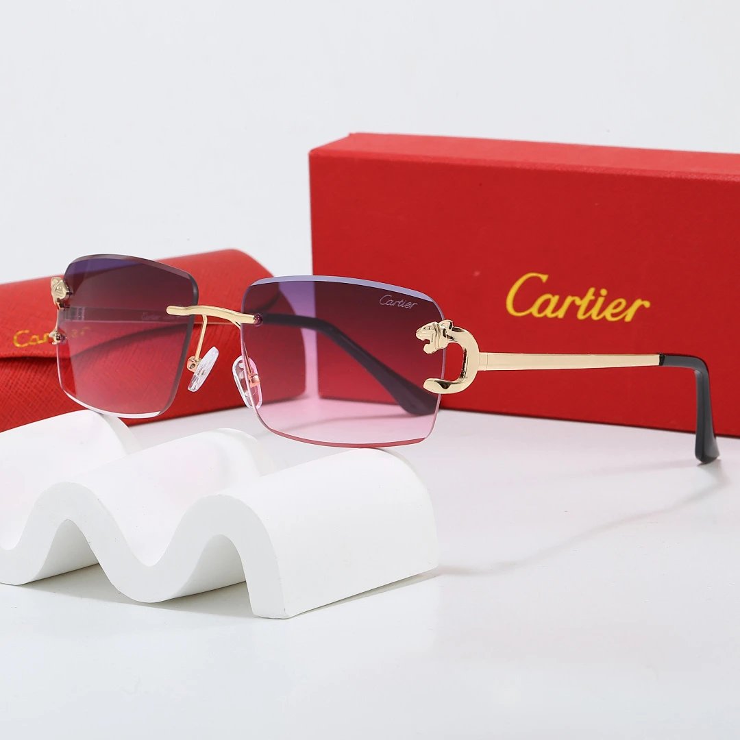 Cartier Tinted Lens Geometric Sunglasses, Polished Frame Style 01