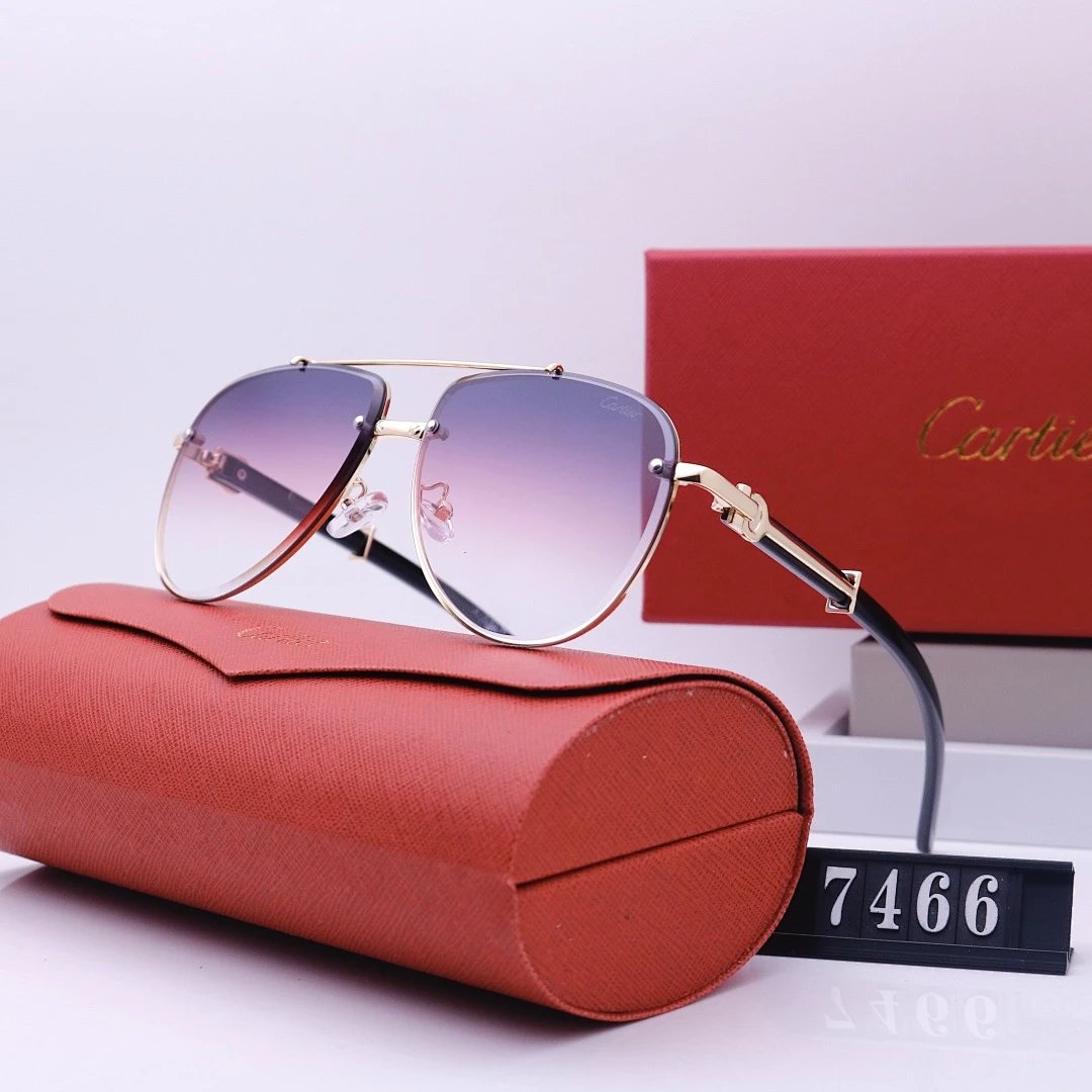 Cartier Tinted Lens Geometric Sunglasses, Polished Frame Style 06