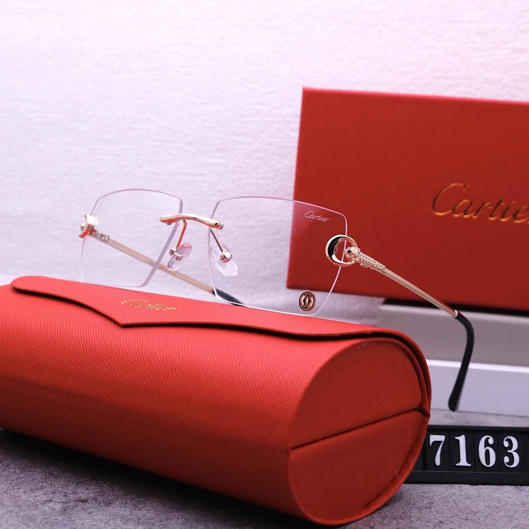 Cartier Tinted Lens Geometric Sunglasses, Polished Frame Style 04