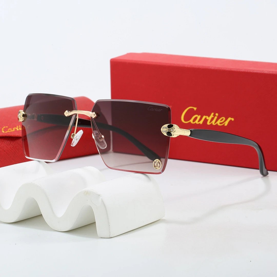 Cartier Tinted Lens Geometric Sunglasses, Polished Frame Style 01