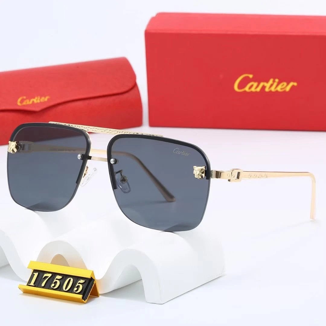 Cartier Tinted Lens Geometric Sunglasses, Polished Frame Style 02