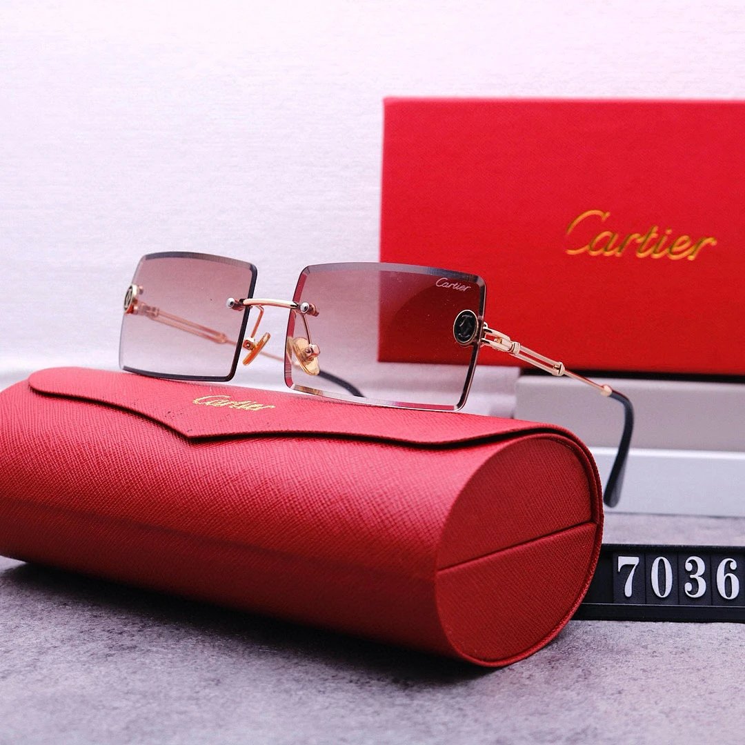 Cartier Tinted Lens Geometric Sunglasses, Polished Frame Style 02