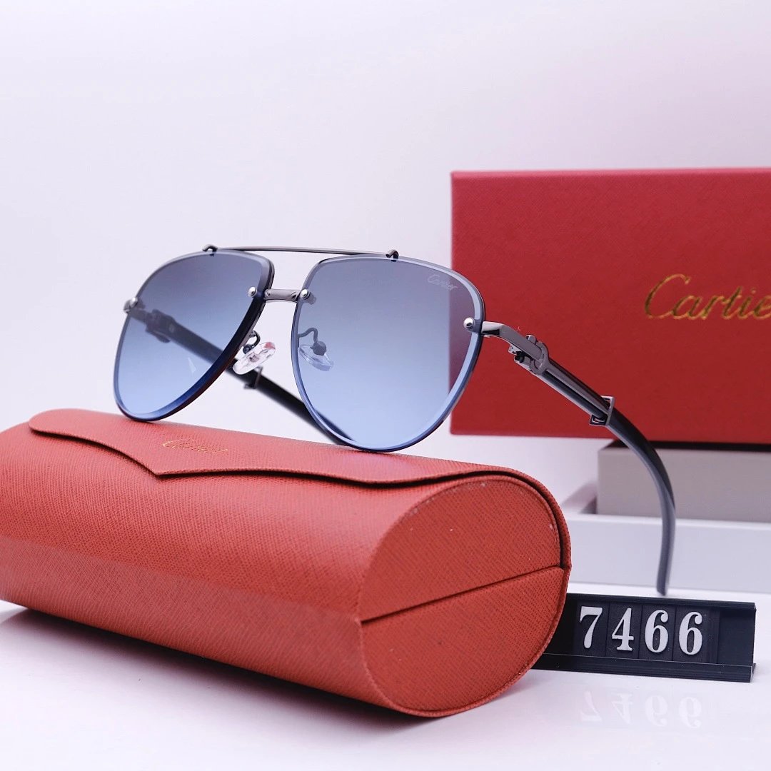Cartier Tinted Lens Geometric Sunglasses, Polished Frame Style 07