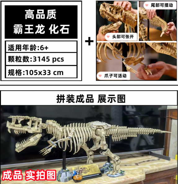 T-Rex Fossil