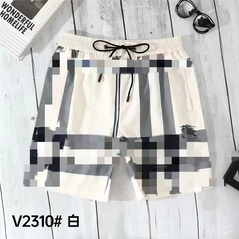 Dior V0069 White Logo Side Stripe Shorts