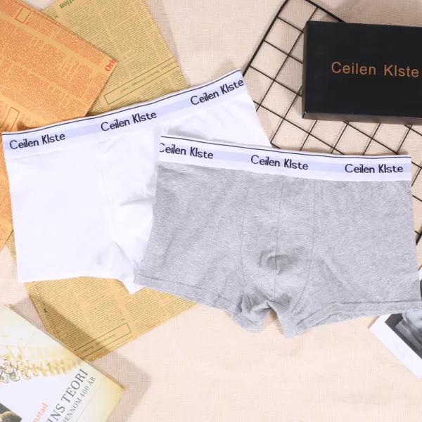 Design Ceilen Klste Classic Boxer Briefs White and Gray Underwear - 1