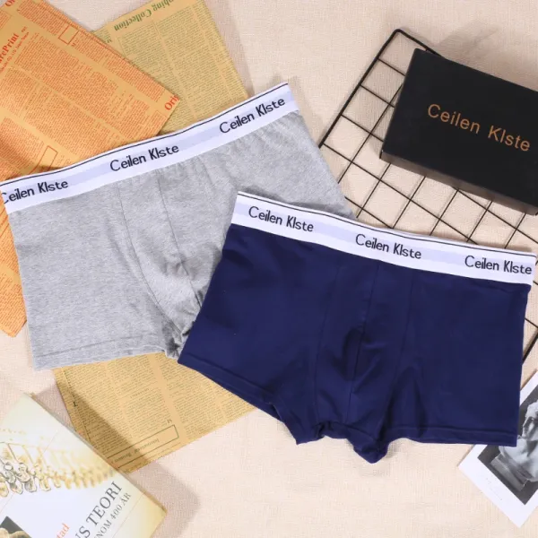 Design Ceilen Klste Classic Boxer Brief Gray Navy Underwear - 1