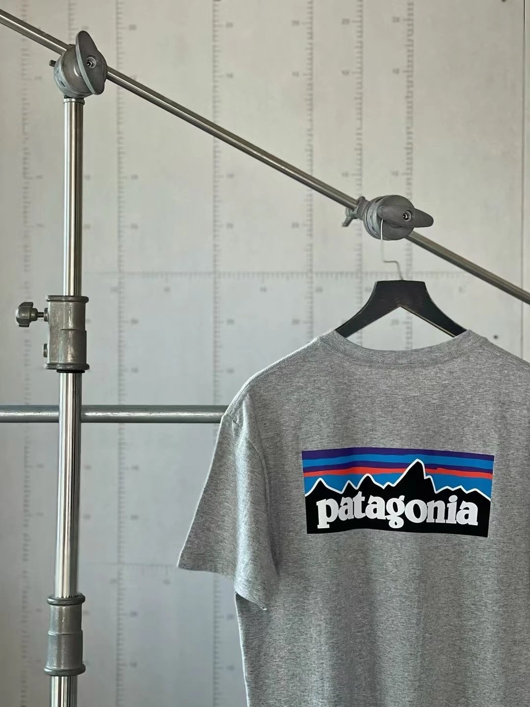 Patagonia P-6 Logo G