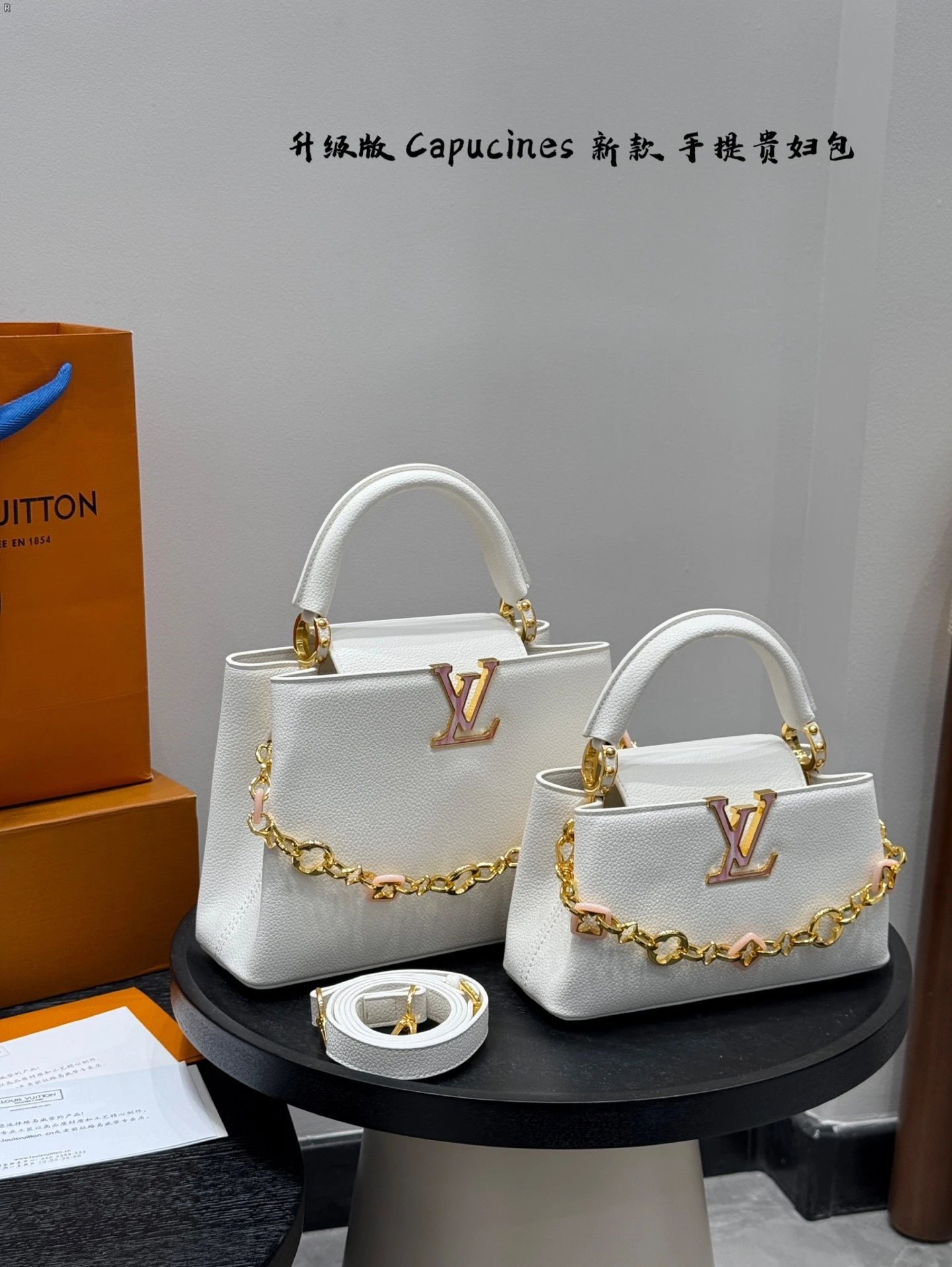 Louis Vuitton Capuci