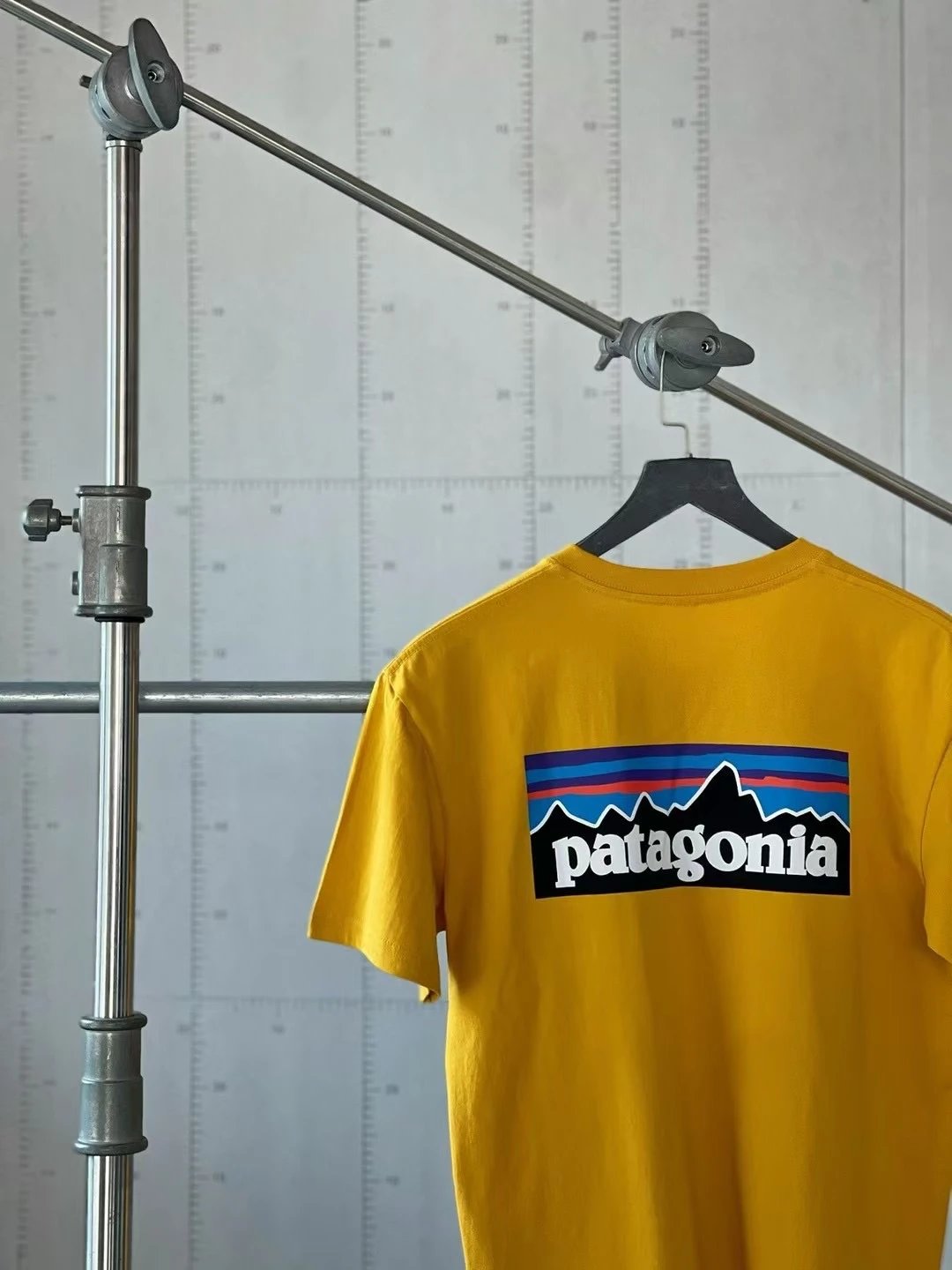 Patagonia P-6 Logo Y