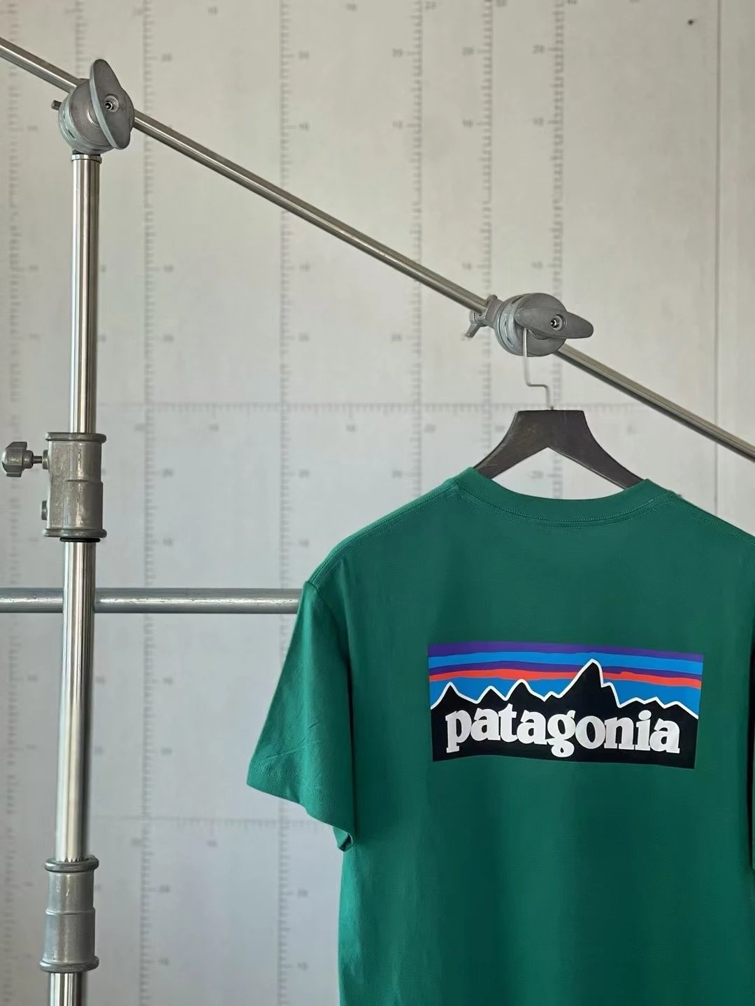 Patagonia P-6 Logo G