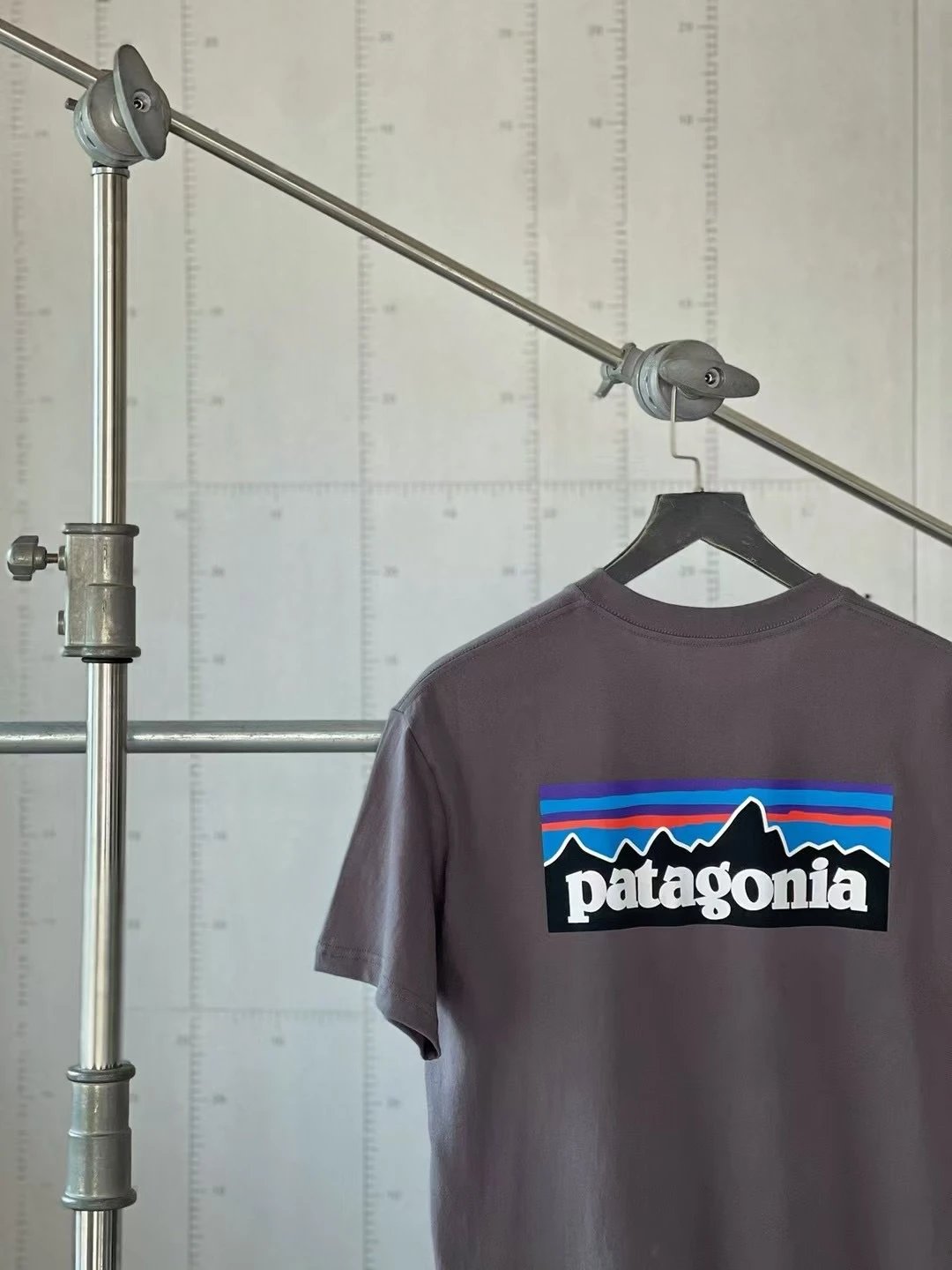 Patagonia P-6 Logo C