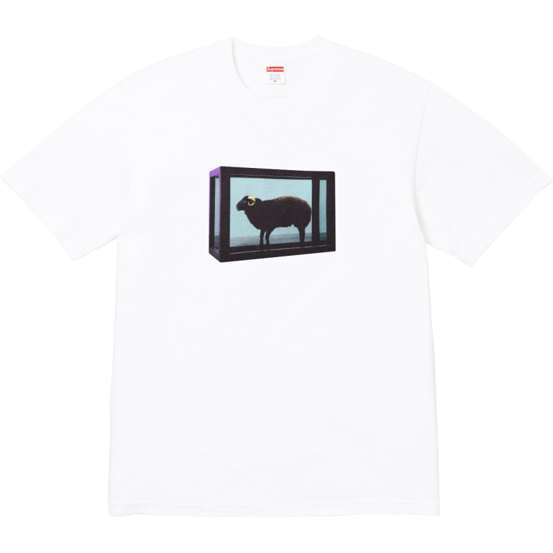 Supreme Sheep White 