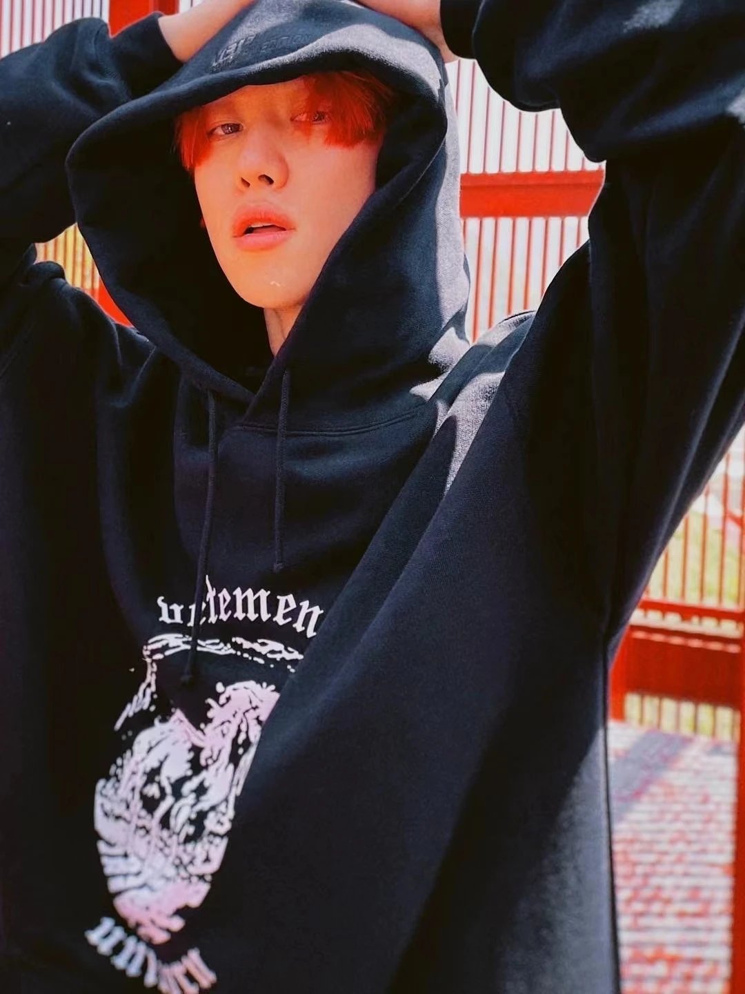 Vetements Unicorn Black Graphic Hoodie