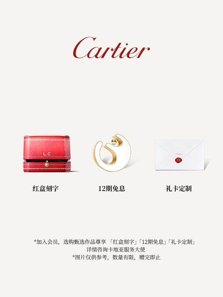 Cartier Santos de Cartier Blue Automatic Steel Watch