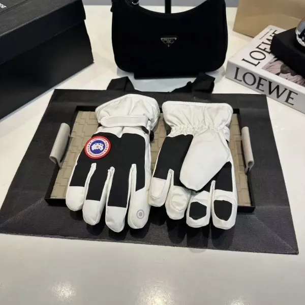 Canada Goose Arctic Program Gloves White / Black - 1