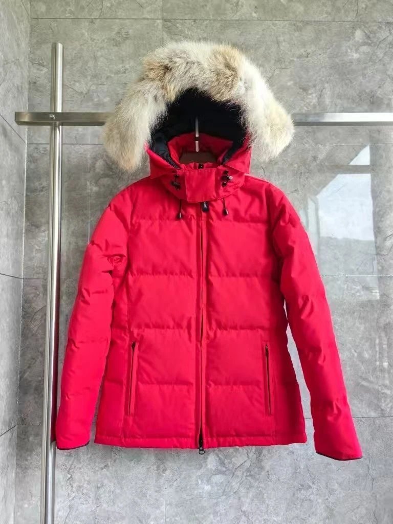  Womens  44款3804 4