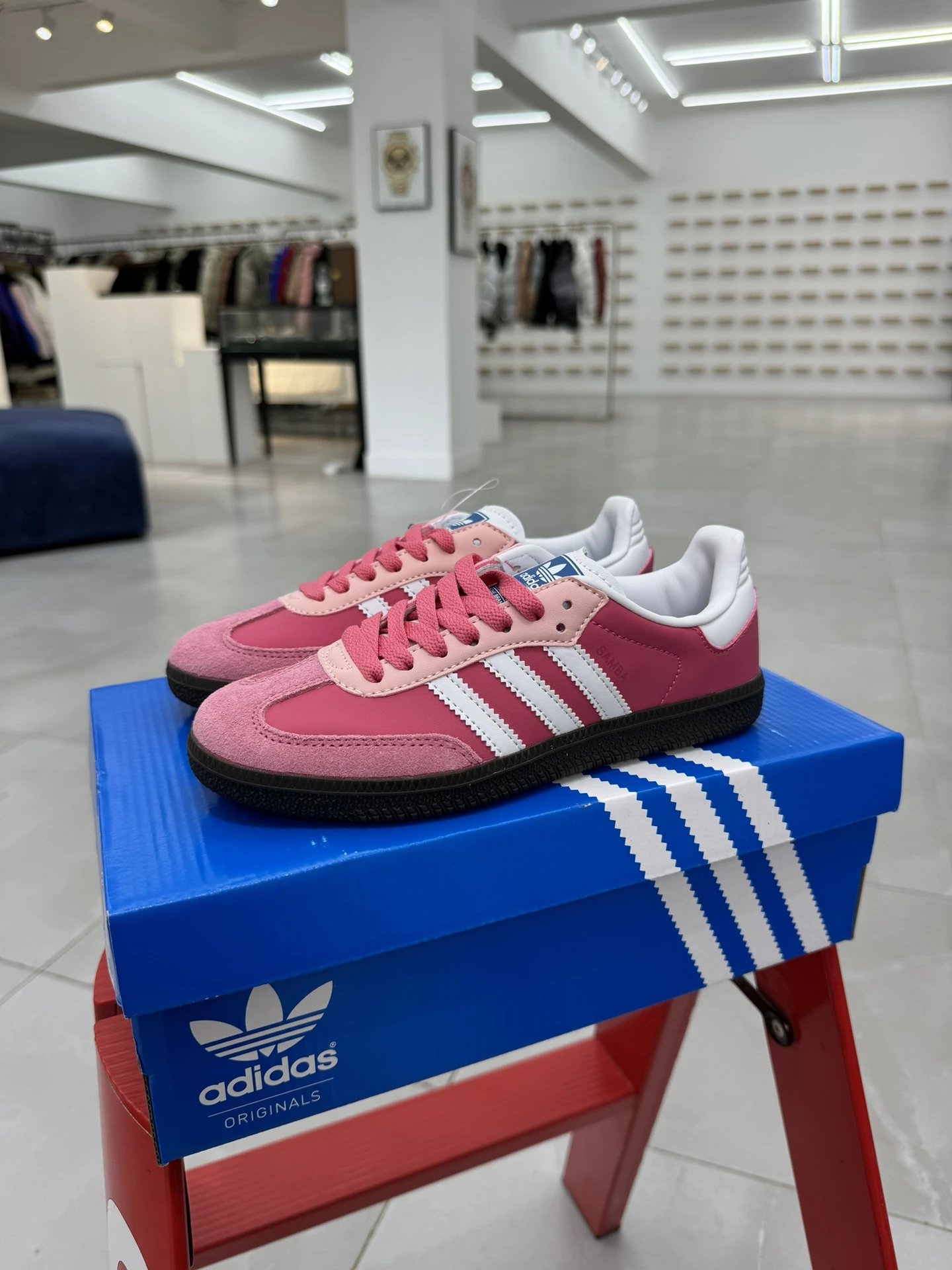 IG1024 Strawberry Bear