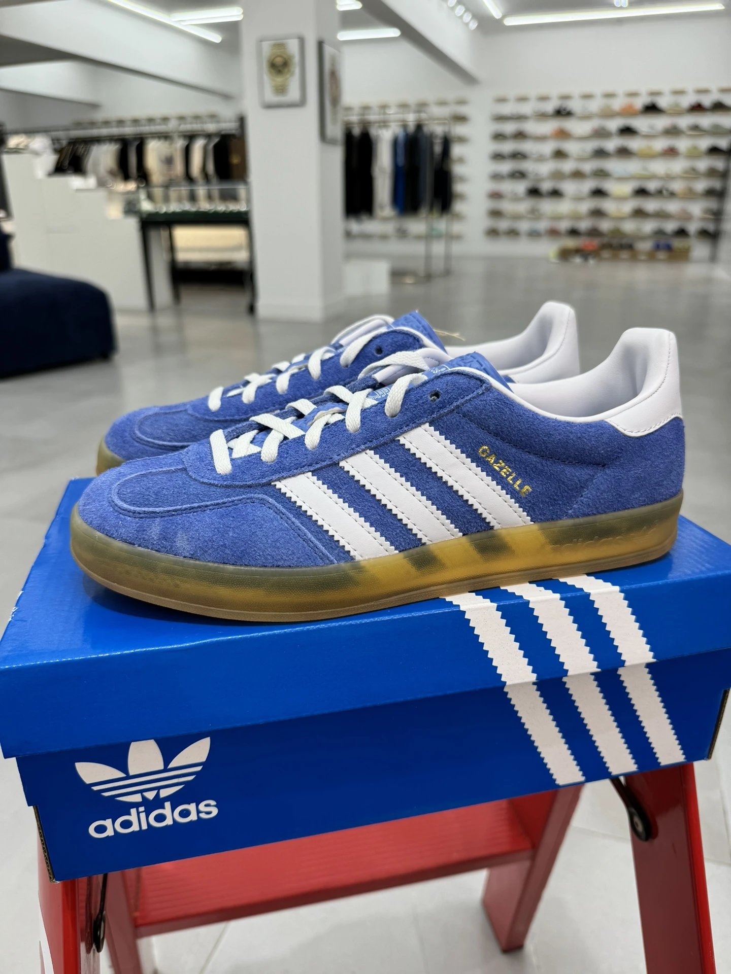 HQ8717 Blue White