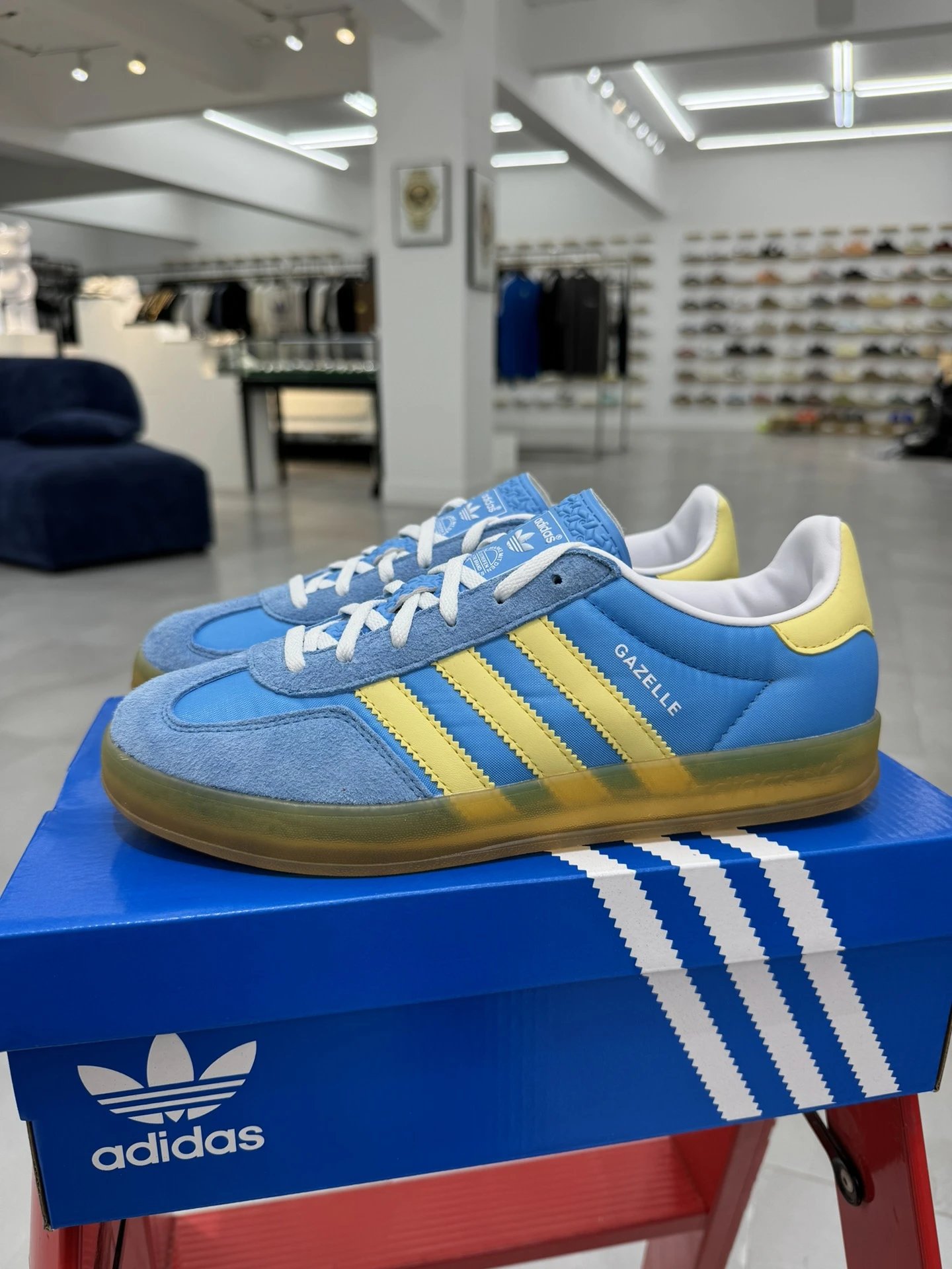 IE2960 Blue Yellow
