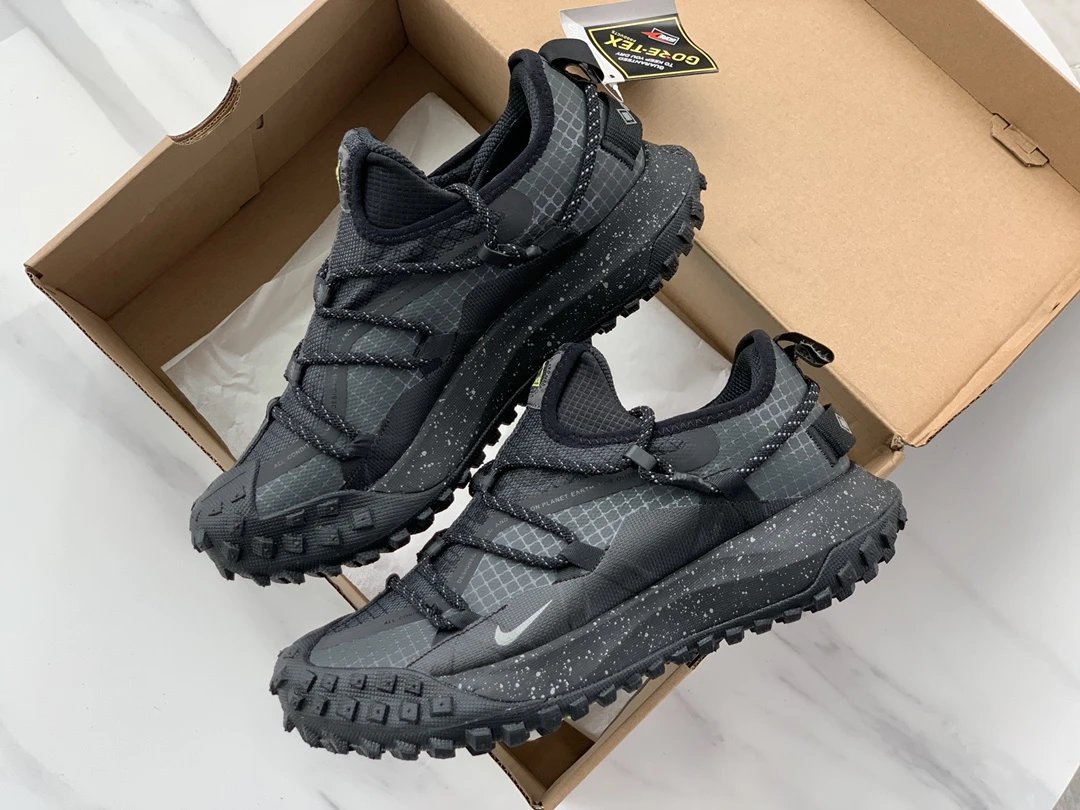 Nike ACG Mountain Fly Low GTX SE Dark Smoke Grey DD2861-002
