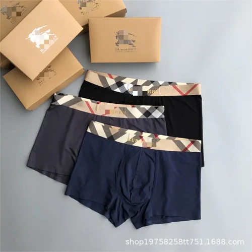 Burberry Slips