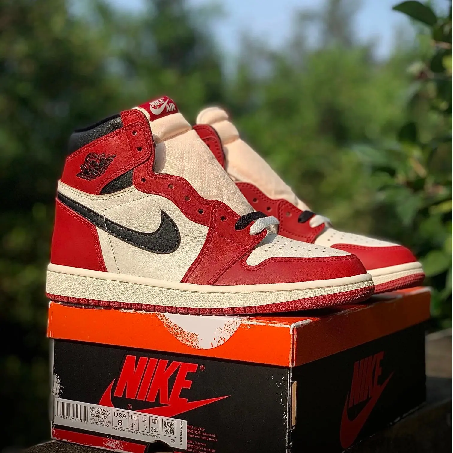 Nike Air Jordan 1 Retro