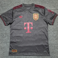 25-26 Fan Bayern München 125th Anniversary Gray