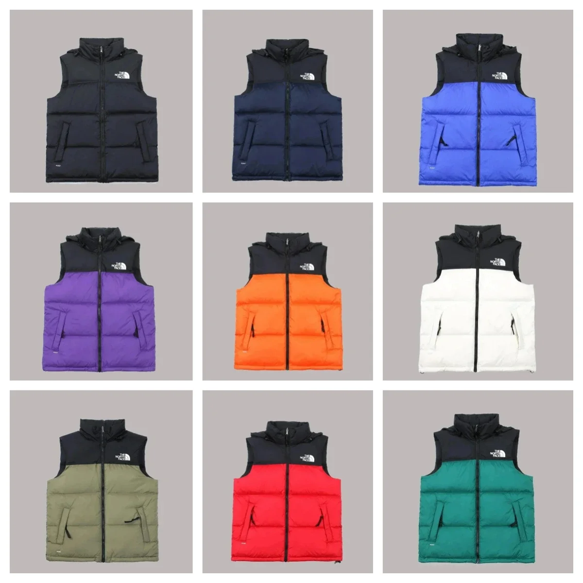 The North Face Vest