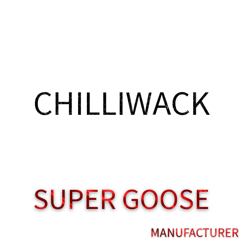 Super Goose [2050M] E2050 [New badge without R]