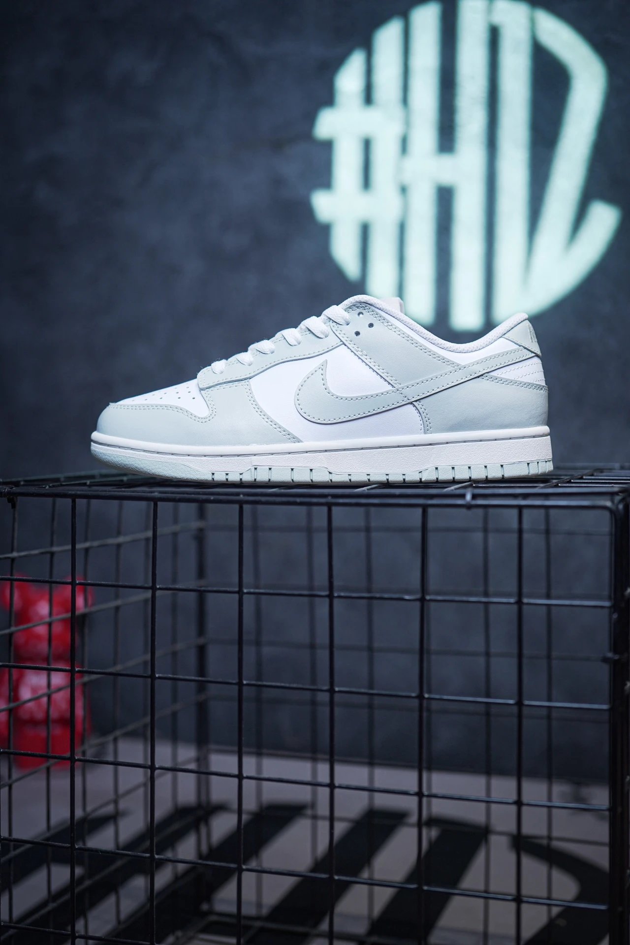 Nike Dunk Low Sneakers