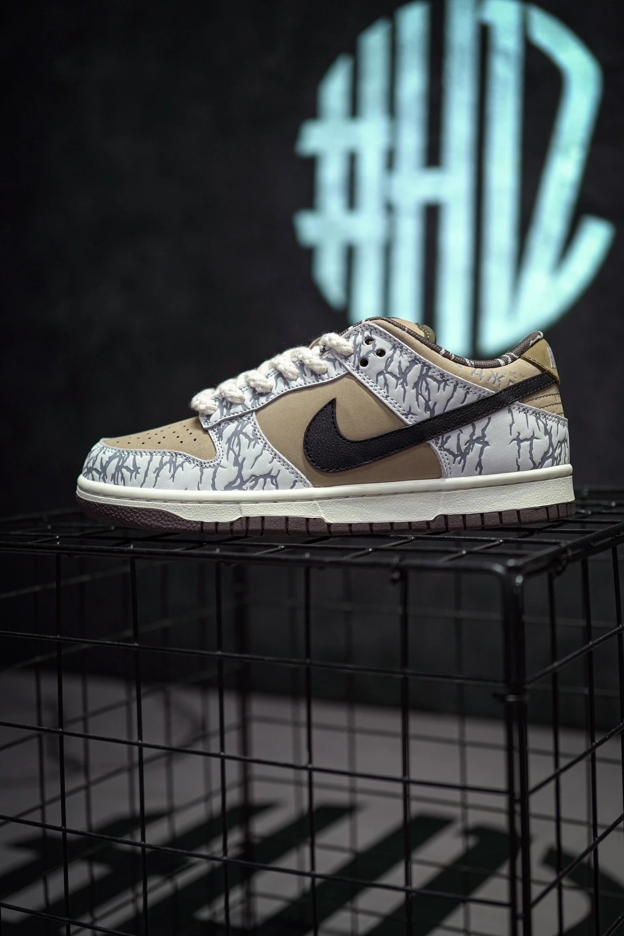 TS x NIKE SB Dunk Low