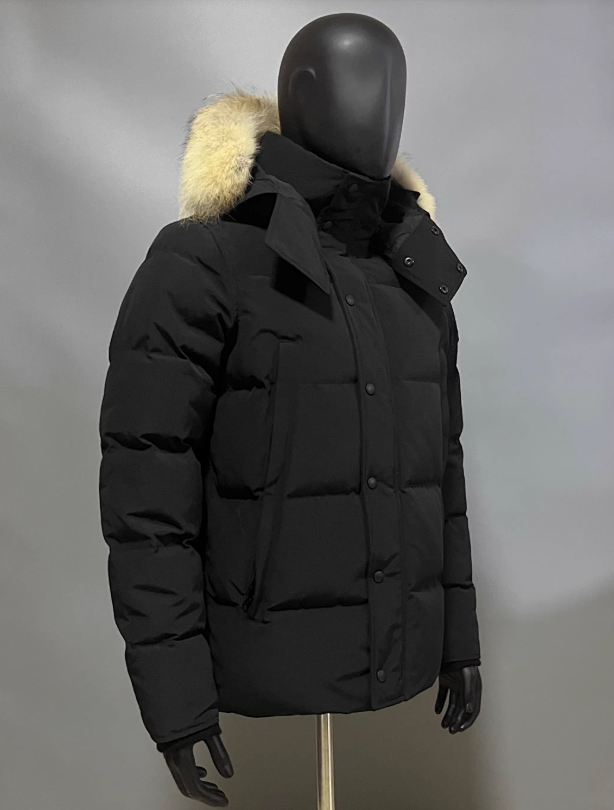 Canada Goose Expedition Parka Gray with Fur Trim Down Jacket product detail 3 in Litbuy spreadsheet finds